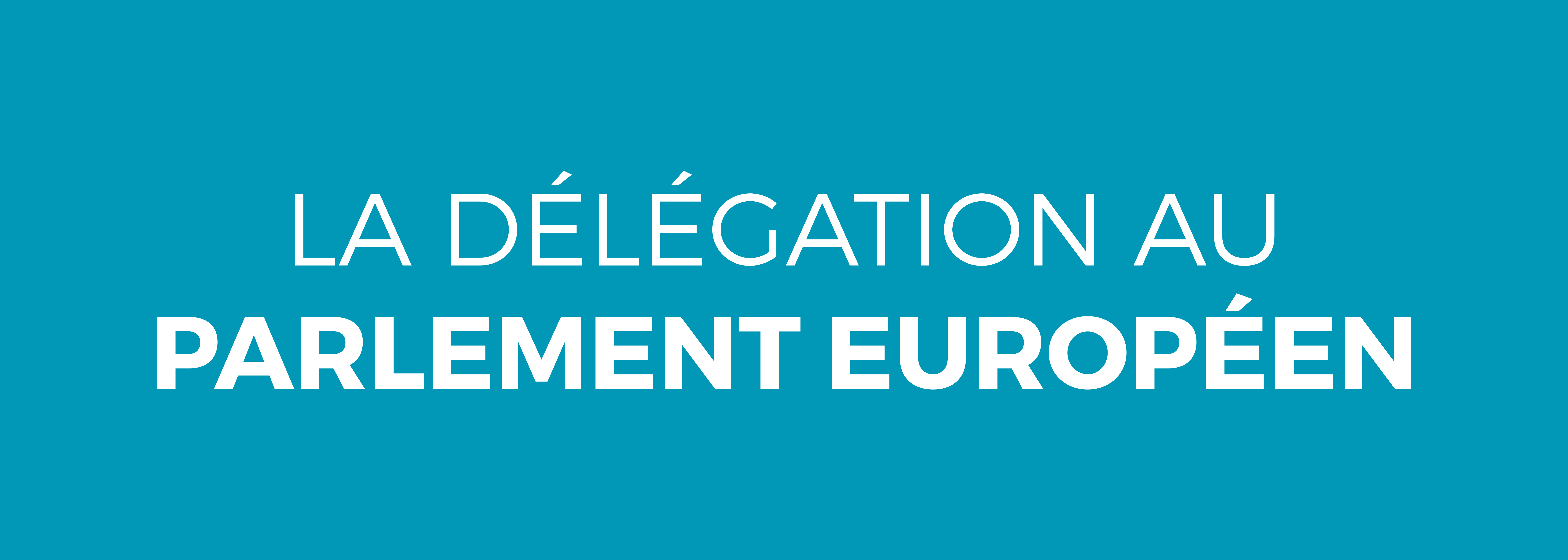 La délégation au parlement européen