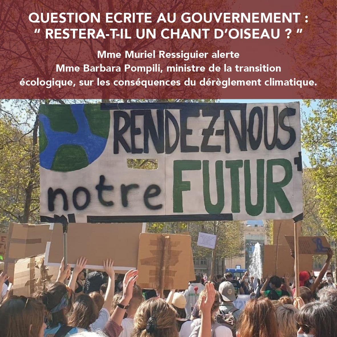 QUESTION ÉCRITE AU GOUVERNEMENT : “Restera-t-il un chant d’oiseau ?”