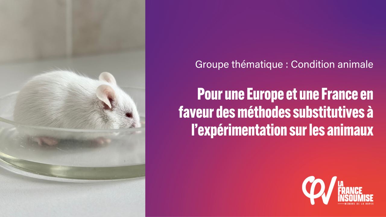 Pour une Europe et une France en faveur des méthodes substitutives à l’expérimentation sur les animaux